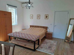 Rino's Apartments 2, Shkodër